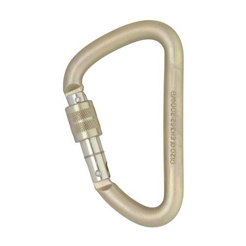 Moschettone con blocco - Klettersteig - DMM Professional - in acciaio / a pera / angolato