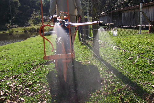 Atomizzatore per grandi colture - plantknapik - da giardino / a spinta