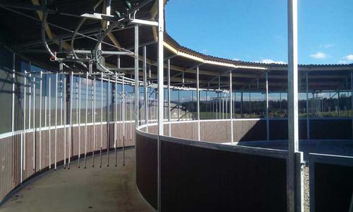Tondino per cavalli rotondo - Rail-Gliding - Molenkoning BV - ovale