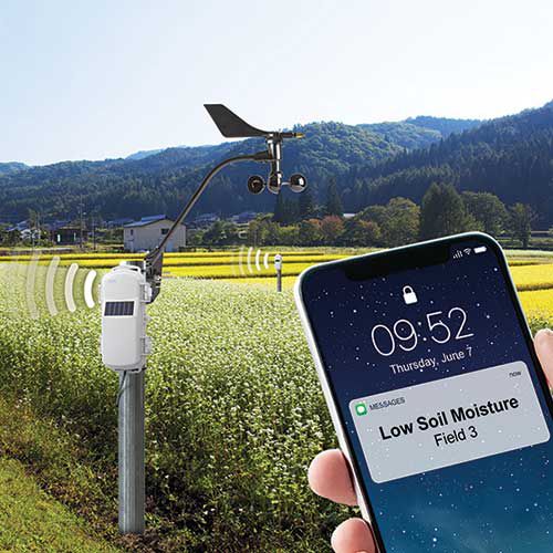 Sistema di sorveglianza per colture - HOBOnet Remote Field Monitoring System - Onset - del terreno / wireless / a distanza