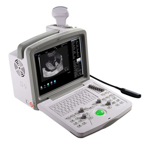 Ecografo veterinario portatile - WED-160V - Shenzhen Well.D Medical Electronics - per animali di piccola taglia / per animali di grossa taglia / lineare
