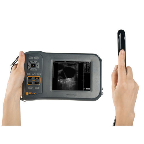 Ecografo veterinario portatile - L60 - bmv-vet - per animali di grossa taglia / per imaging del sistema riproduttivo / a batteria