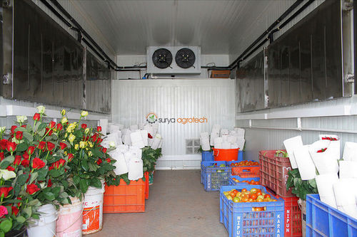 Raffreddatore per fiori - SURYA AGROTECH THAILAND CO LTD - per stoccaggio