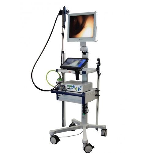Endoscopio veterinario flessibile - COMPACT TABLETTE - optomed - per animali di piccola taglia / digestivo / urinario