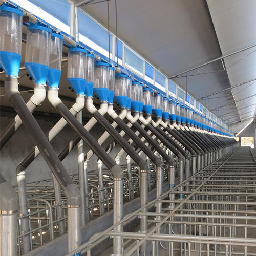 Sistema di alimentazione per suini - hengyin livestock - programmabile