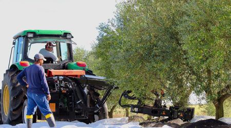 Scuotitore per alberi per frutta - VTL SIDE series - agromelca - portato / idraulico