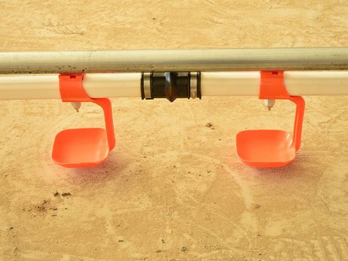 Abbeveratoio per pulcini - cnbaichen - in plastica / in acciaio inossidabile / a tettarella