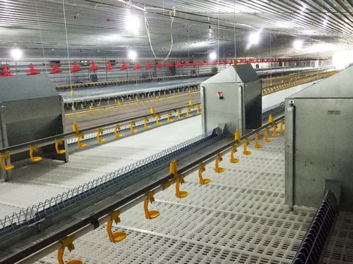 Grigliato in plastica - cnbaichen - per allevamento avicolo
