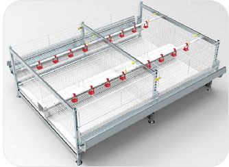 Sistemi di allevamento per pollastre - Reliance Poultry