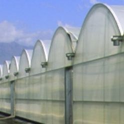 Film per serra - INDASOL STANDARD - Solplast S.A. - anti UV / ad effetto termico / ad effetto refrigerante