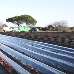 Film pacciamante - PHOTOSELECTIVE - Solplast S.A. - anti UV / ad effetto termico / riciclabile