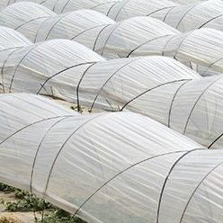 Film per galleria - TUNESOL Diffuse - Solplast S.A. - in LDPE / in EVA / ad effetto termico