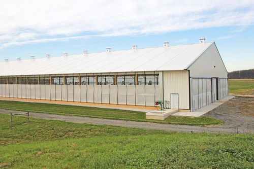 Schermo frangivento - Sturdy Built Manufacturing,LLC - per allevamento