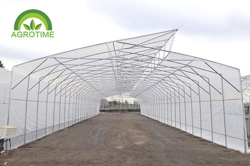 Serra venlo - CMB3810 - CHINA AGROTIME - in plastica