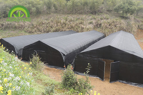 Serra monotunnel - CMS3810 - CHINA AGROTIME - con struttura in acciaio