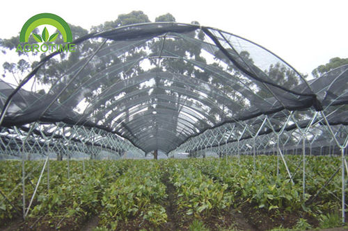 Serra multitunnel - CMY9343 - CHINA AGROTIME - con struttura in acciaio