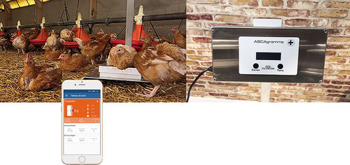 Bilancia per pollame - Ascagramme + - ASCAPE - digitale / automatica / Bluetooth