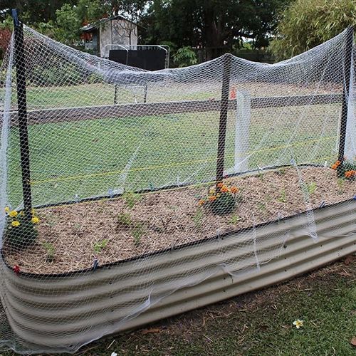 Rete antiuccelli - HF BETTER TECHNOLOGY CO - in HDPE / per arboricoltura