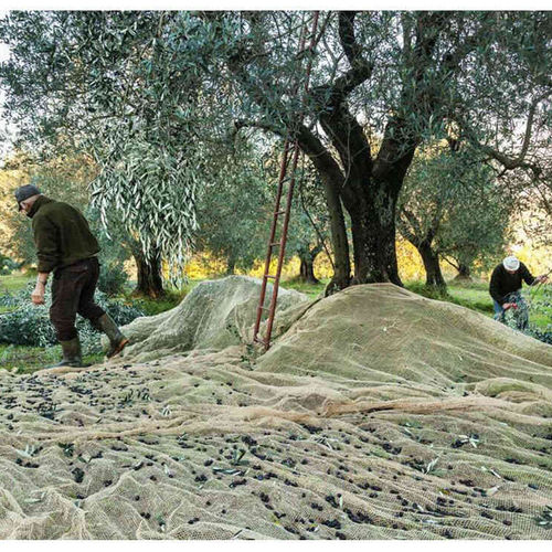 Rete per raccolta di olive - HF BETTER TECHNOLOGY CO - in polietilene