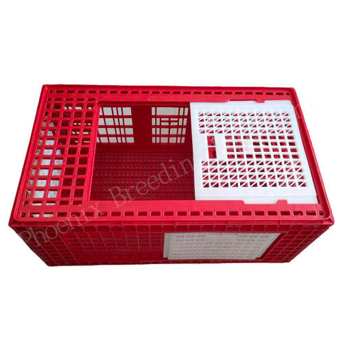 Gabbia di trasporto per tacchini - Ph-274 - Cangzhou Phoenix Breeding Equipment Co., Ltd. - per polli / in plastica