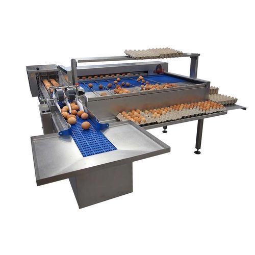 Calibratrice per uova - S41 - RIVA SELEGG SRL - automatica / di ispezione / con ovoscopio