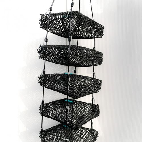 Borsa a sacco per ostricoltura - Lantern® - Nodus Factory - Ostrea