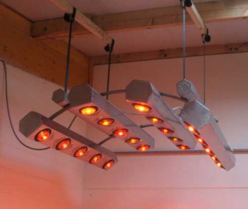 Solarium per equini per asciugatura - Light series - FMBs Therapy Systems