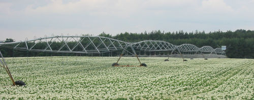 Pivot centrale - Oneaqua China  - mobile / su ruote