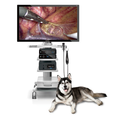 Endoscopio veterinario rigido - Vetina CS7 - Shenzhen Mindray Animal Medical Technology Co., Ltd. - per animali di piccola taglia / digestivo / portatile