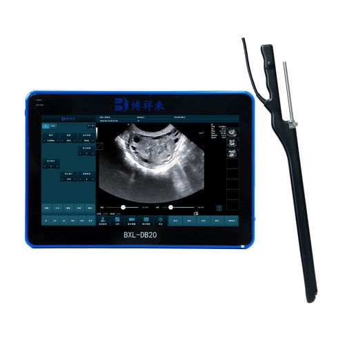 Ecografo veterinario doppler portatile - BXL-DB20 - Zhengzhou Boxianglai Electronic Sci-tech Co.,Ltd - per bovini / lineare / per prelievo di ovuli