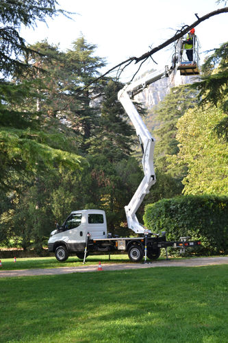 Piattaforma aerea di potatura - ZETA 22 - CTE SpA - per potatura di alberi / articolata / montata su camion