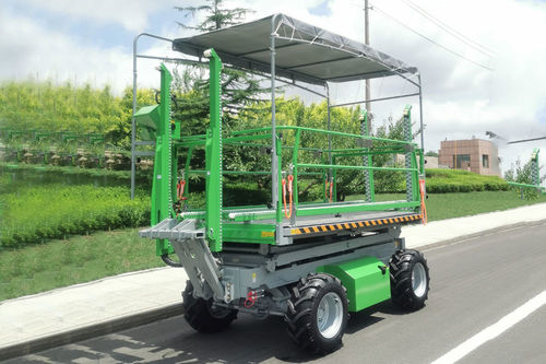 Carrello raccolta con motore idraulico - 4GP-1200DA PE - Weihai ZY Modern Agricultural Equipment Technology Co.,Ltd - per frutteto / semovente / per gasolio