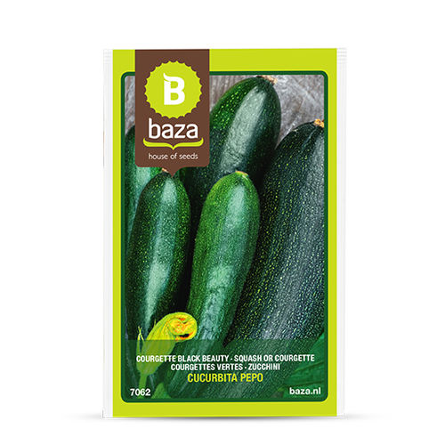 Semi di zucchina precoce - 7062 - BAZA Seeds Holland b.v. - verde
