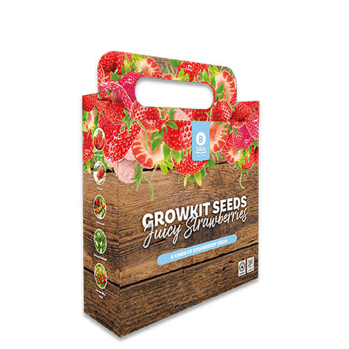 Semi di fragola rotondo - BAZA Seeds Holland b.v.
