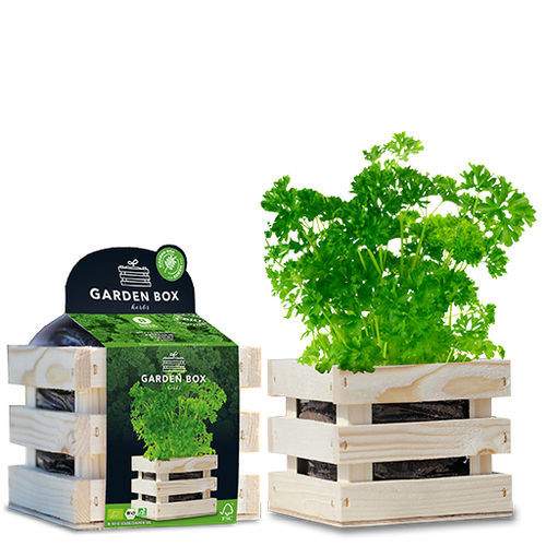 Semi di prezzemolo biologico - 1807768 - BAZA Seeds Holland b.v.