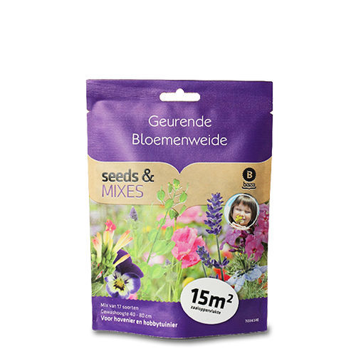 Semi di fiore miscela - 7034140 - BAZA Seeds Holland b.v. - annuale / mix di colori / per giardino