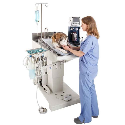 Esami Per La Funzionalità Renale: Quali Sono E Quando Farli - Foto 1