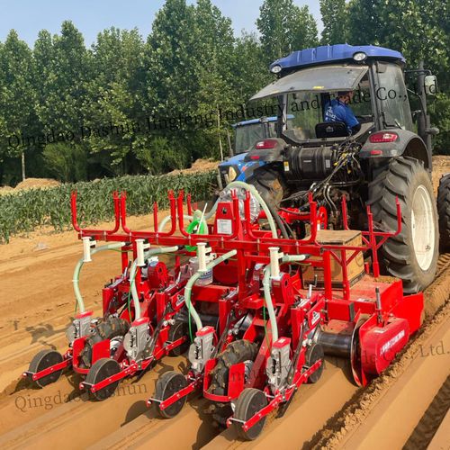 Seminatrice di precisione pneumatica - 2DS-4H - Qingdao Dashun Jingfeng Agricultural Machinery Co., Ltd. - 4 filari / per coltivazione di ortaggi / con attacco a tre punti