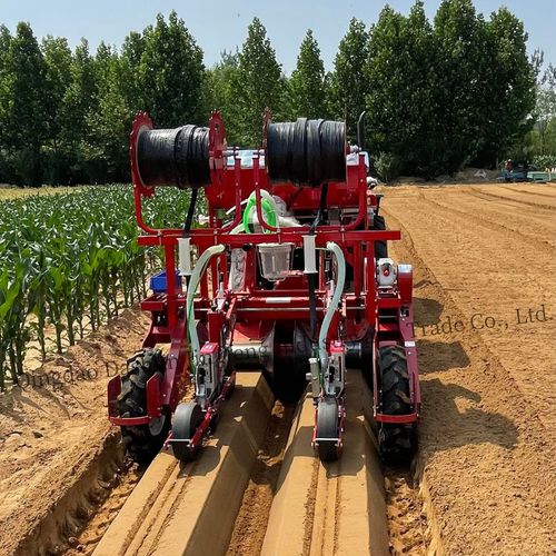 Seminatrice di precisione per ravanelli - 2DS-2H - Qingdao Dashun Jingfeng Agricultural Machinery Co., Ltd. - pneumatica / 2 filari / per coltivazione di ortaggi