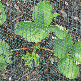 Rete di protezione - GLAESERgrow - in plastica / per colture