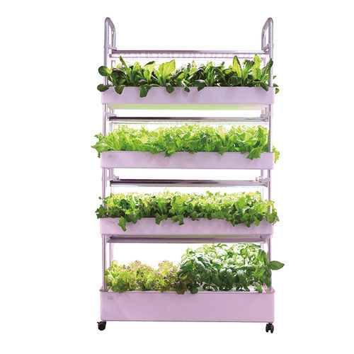 Sistema idroponico su film nutritivo - RAPHAEL  - Resyx GmbH - Litrax - automatizzato / da interno / verticale