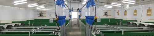 Trasportatore di alimentazione - Sistemas Fernanz, S.L. - a catena