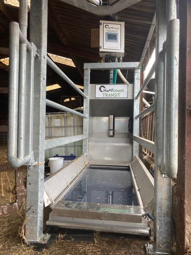 Sistema automatico di distribuzione di mangime per bovini - Transit  - HOOFCOUNT Ltd. - a tramoggia / connesso