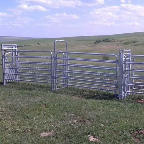 Gabbia di trattamento per bovini - SORA16 3000 - AHI - FARM CAMARA - robusta / veterinaria / per cernita
