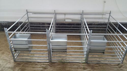 Gabbia da parto per ovini - FENG82, D - AHI - FARM CAMARA - regolabile