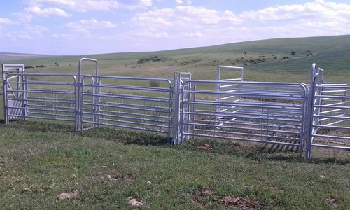 Gabbia di trattamento per bovini - SORA16 9000 - AHI - FARM CAMARA - robusta / veterinaria / per cernita
