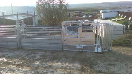 Gabbia di trattamento per bovini - SORA6413000 - AHI - FARM CAMARA - robusta / per cernita