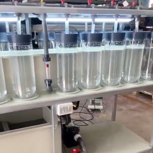 Incubatrice per pesci per tilapie - MC - HSK AQUA CULTUR - per pesci gatto / 12 vassoi / per pesce