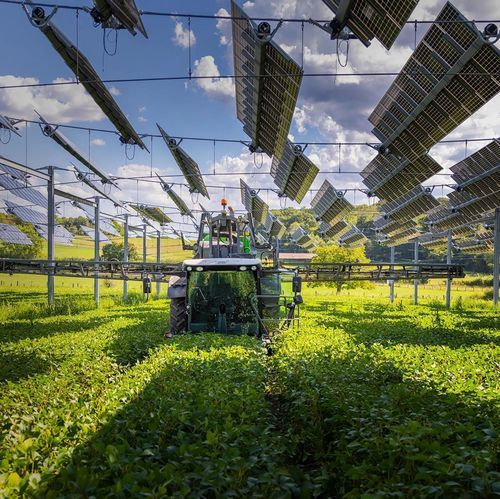 Pensilina agrivoltaica per colture - TSE Energy