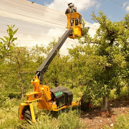 Piattaforma aerea di potatura - SA-350 - Afron Machinery Ltd. - di raccolta / semovente / per frutteto